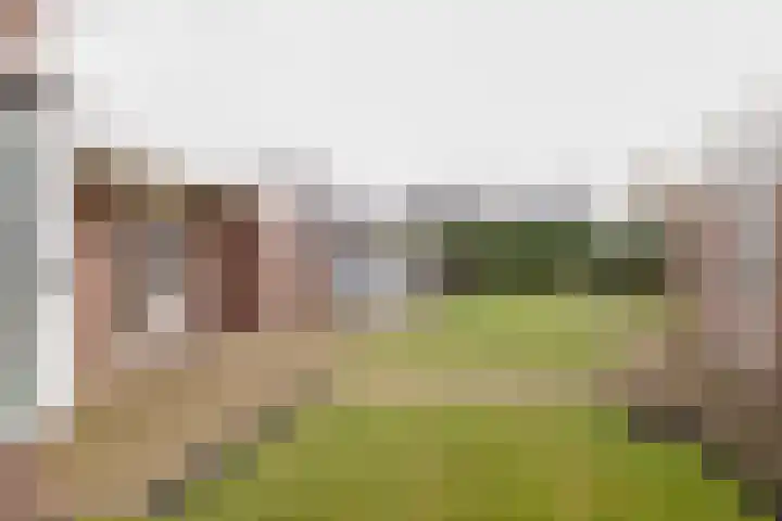 Schoolstraat 20 Overdinkel thumbnail 29