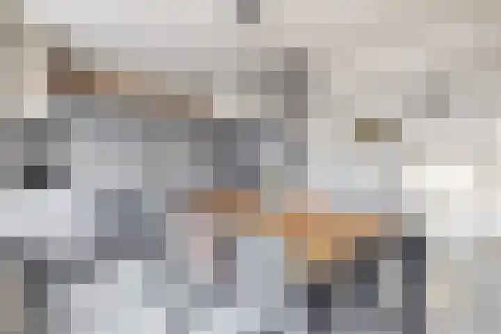 Schoolstraat 21 Blijham thumbnail 12