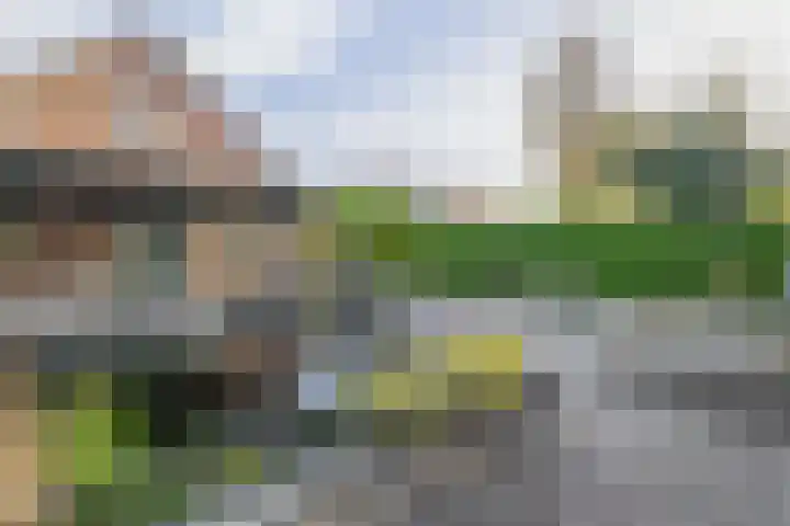 Schoolstraat 21 Blijham thumbnail 5