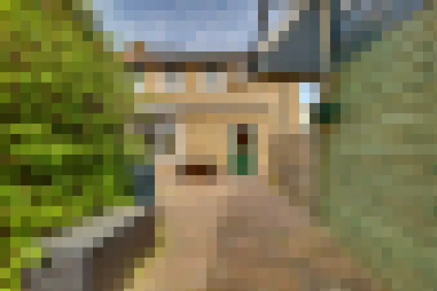 Schoolstraat 21 Holten thumbnail 22
