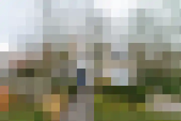 Schoolstraat 23 Zaltbommel thumbnail 68