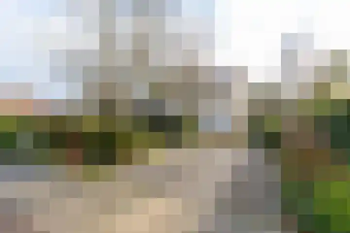 Schoolstraat 23 Zaltbommel thumbnail 70