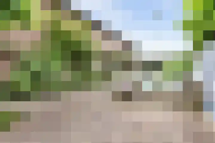 Schoolstraat 25 Aerdt thumbnail 43