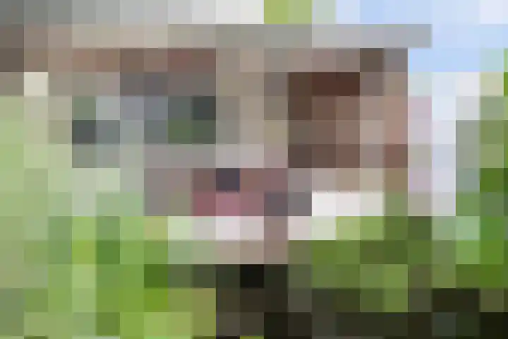 Schoolstraat 25 Aerdt thumbnail 45