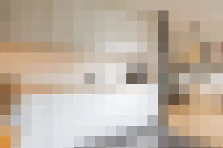 Schoolstraat 25 Ruinerwold thumbnail 17