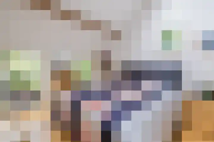 Schoolstraat 25 Ruinerwold thumbnail 19
