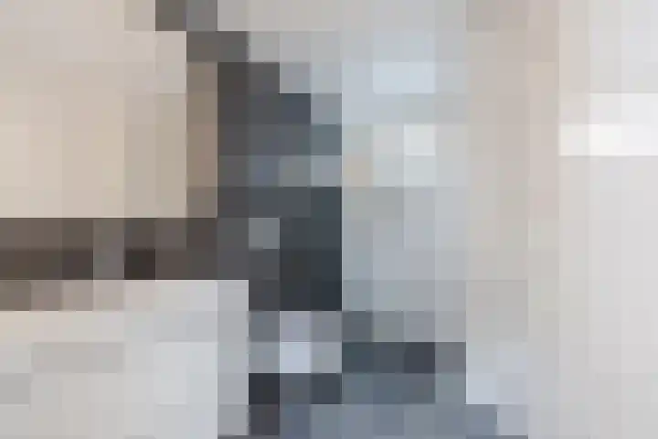 Schoolstraat 25 Ruinerwold thumbnail 22