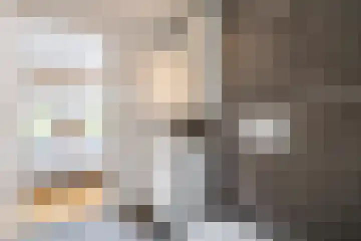 Schoolstraat 25 Ruinerwold thumbnail 24