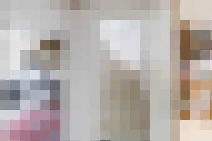Schoolstraat 25 Ruinerwold thumbnail 38