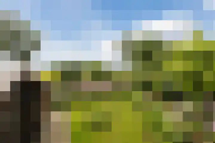 Schoolstraat 25 Ruinerwold thumbnail 43
