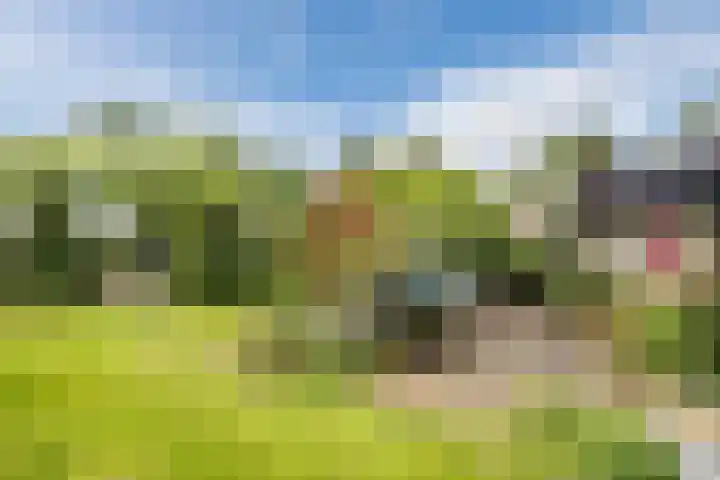 Schoolstraat 25 Ruinerwold thumbnail 46