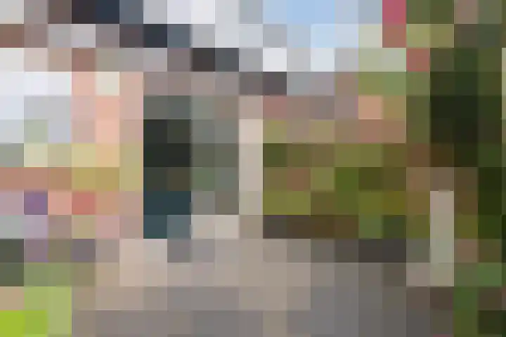 Schoolstraat 25 Ruinerwold thumbnail 48