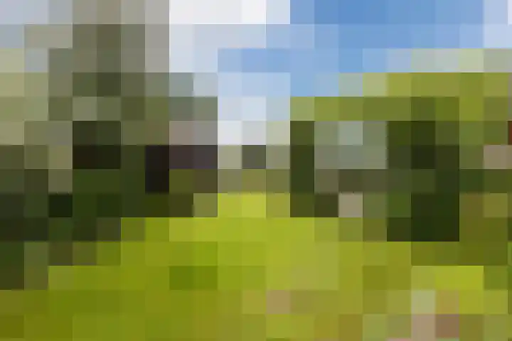 Schoolstraat 25 Ruinerwold thumbnail 49