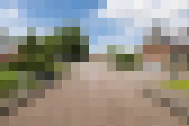 Schoolstraat 25 Ruinerwold thumbnail 5