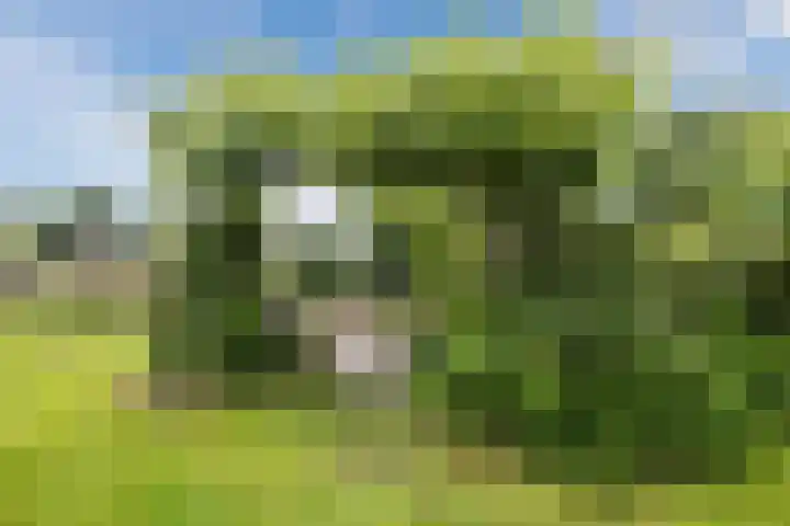 Schoolstraat 25 Ruinerwold thumbnail 50