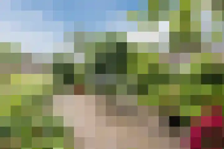 Schoolstraat 25 Ruinerwold thumbnail 51