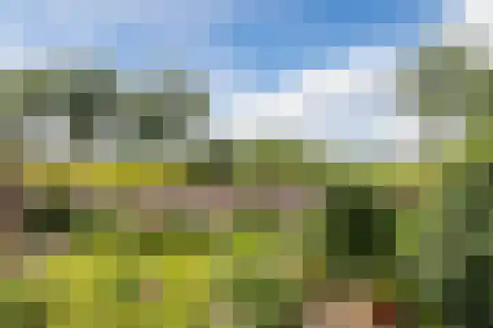 Schoolstraat 25 Ruinerwold thumbnail 52