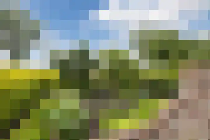 Schoolstraat 25 Ruinerwold thumbnail 53
