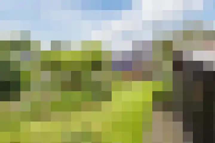 Schoolstraat 25 Ruinerwold thumbnail 54