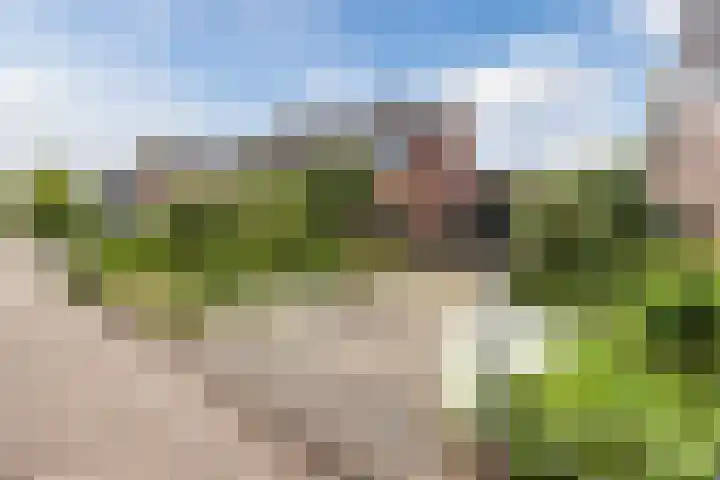 Schoolstraat 25 Ruinerwold thumbnail 60
