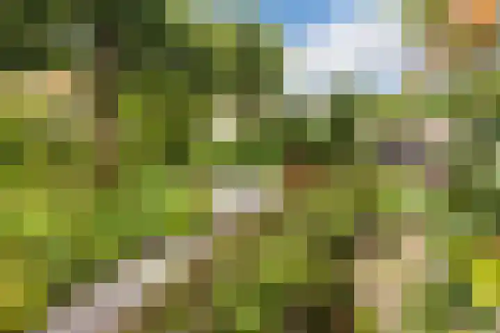 Schoolstraat 25 Ruinerwold thumbnail 7