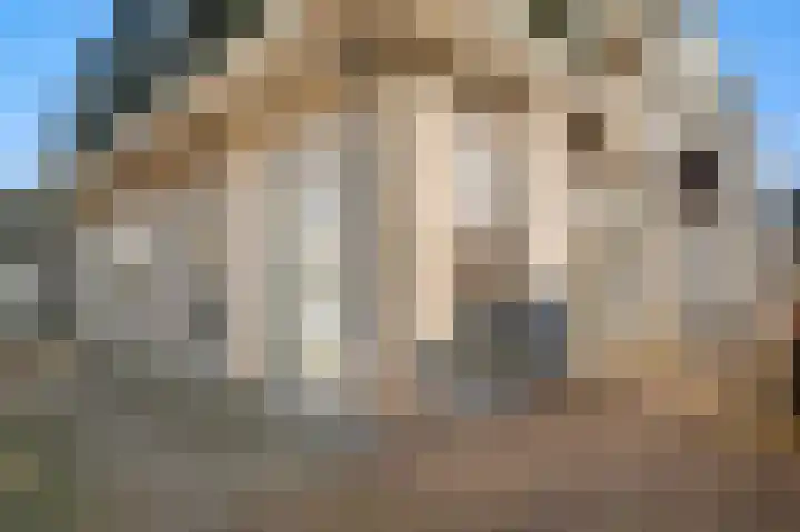 Schoolstraat 27 Bathmen thumbnail 11