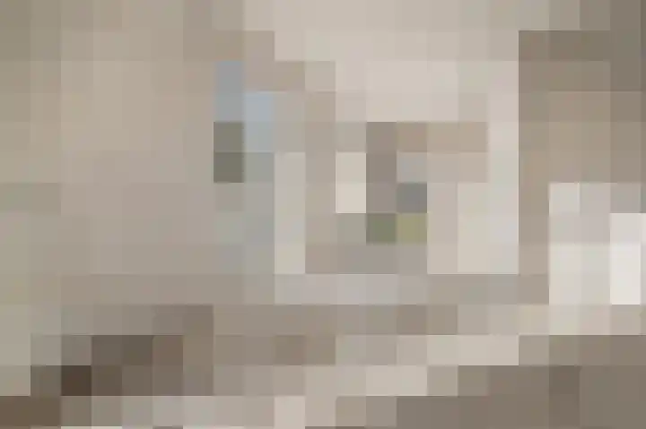 Schoolstraat 27 Bathmen thumbnail 7
