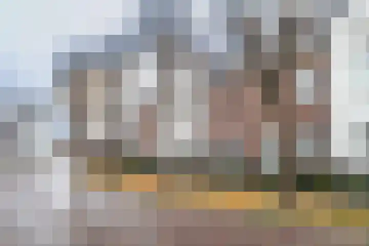 Schoolstraat 27 C Moergestel thumbnail 32