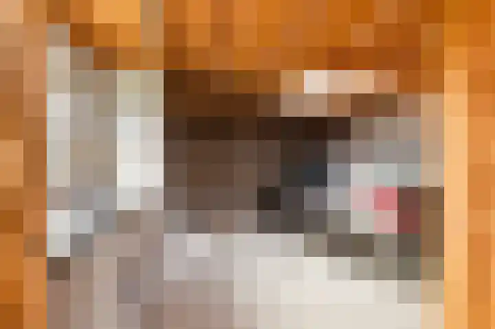 Schoolstraat 3 Markelo thumbnail 39