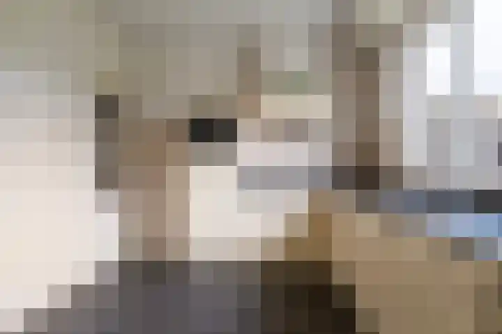 Schoolstraat 3 Markelo thumbnail 9