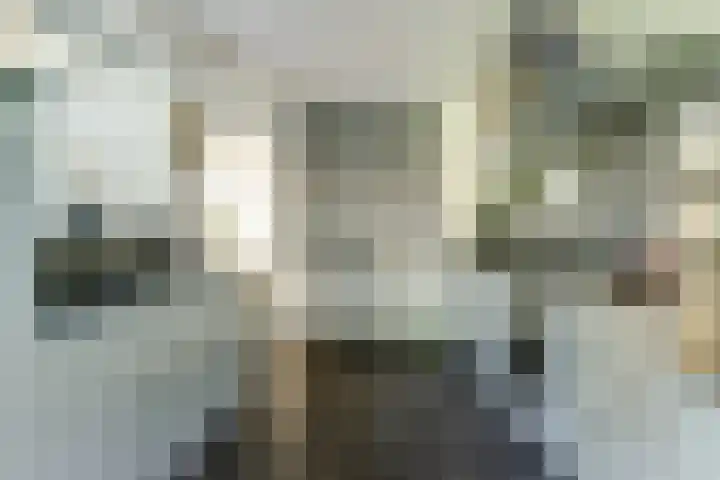 Schoolstraat 3 Putte thumbnail 12