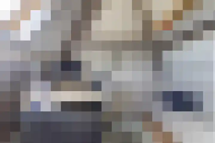 Schoolstraat 3 Putte thumbnail 34
