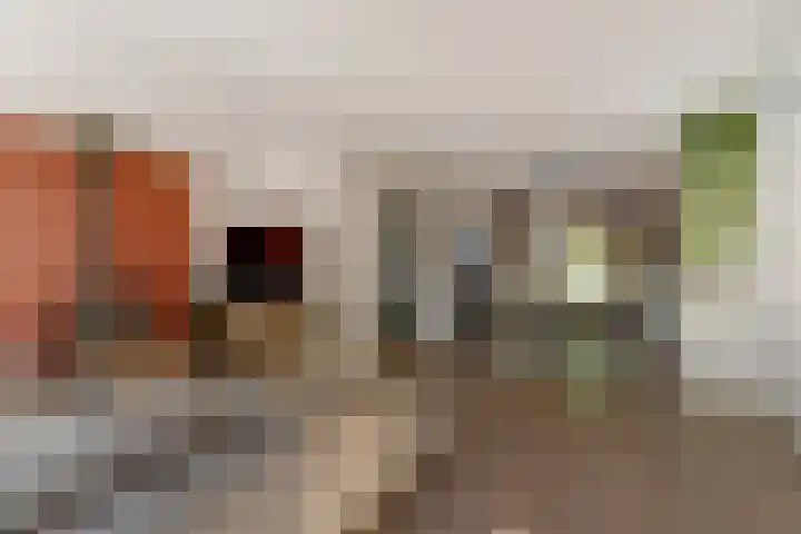 Schoolstraat 3 Putte thumbnail 8