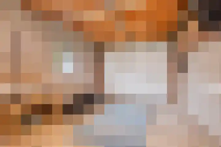 Schoolstraat 3 's-Hertogenbosch thumbnail 20