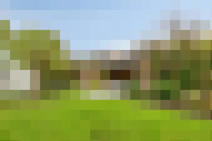 Schoolstraat 3 's-Hertogenbosch thumbnail 21