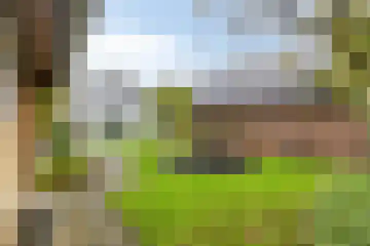 Schoolstraat 3 's-Hertogenbosch thumbnail 24