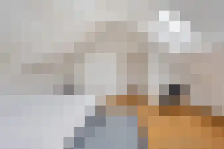 Schoolstraat 3 's-Hertogenbosch thumbnail 32