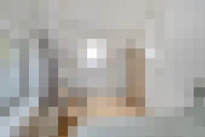 Schoolstraat 3 's-Hertogenbosch thumbnail 34