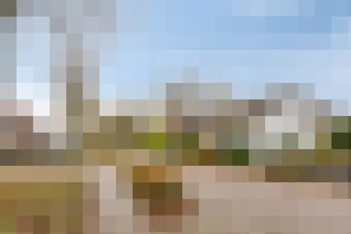 Schoolstraat 3 's-Hertogenbosch thumbnail 40