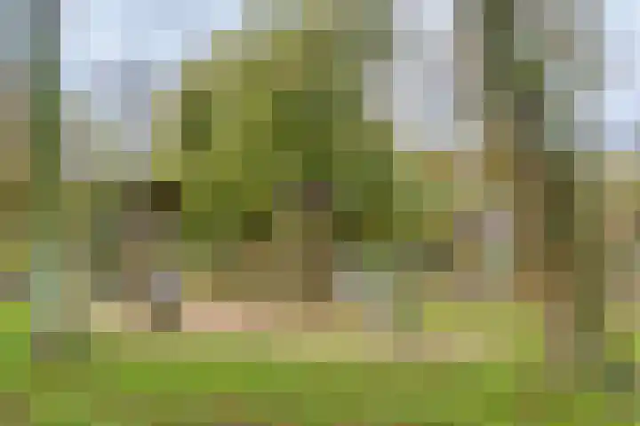 Schoolstraat 3 's-Hertogenbosch thumbnail 42
