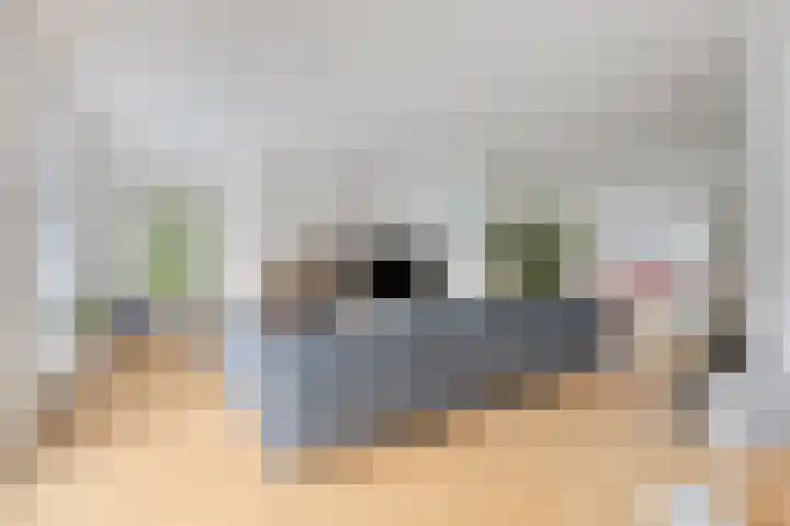 Schoolstraat 3 's-Hertogenbosch thumbnail 5