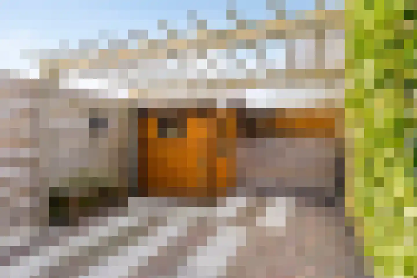 Schoolstraat 34 Bovensmilde thumbnail 30