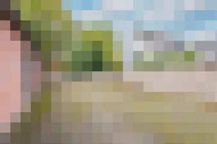 Schoolstraat 34 C Baarn thumbnail 16
