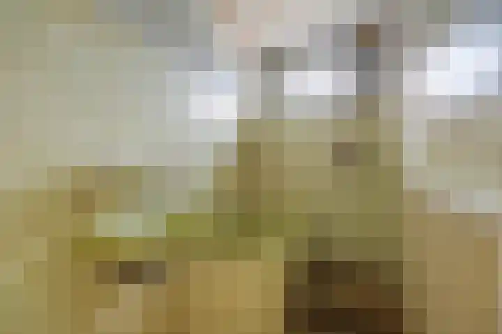 Schoolstraat 34 Velp thumbnail 12