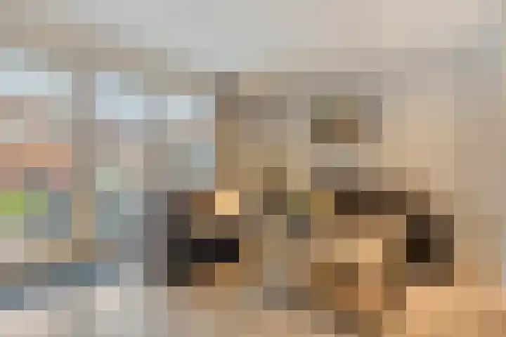 Schoolstraat 37 Ederveen thumbnail 6