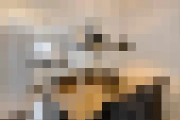Schoolstraat 37 Ederveen thumbnail 9