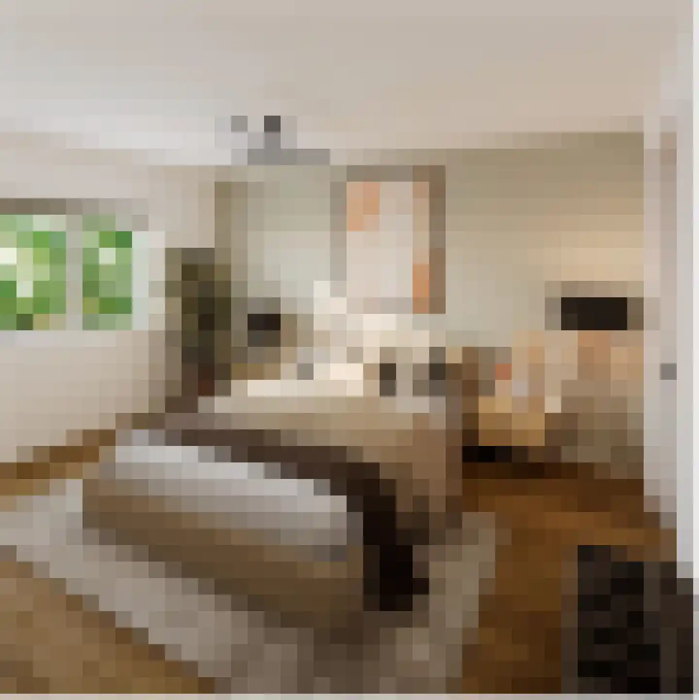 Schoolstraat 4 Belfeld thumbnail 12