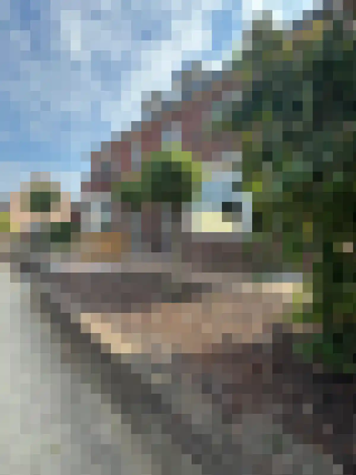 Schoolstraat 4 Belfeld thumbnail 7