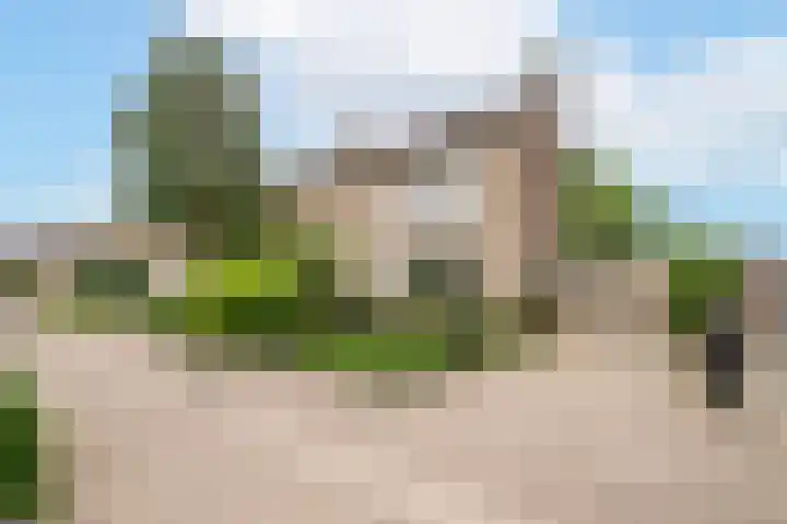 Schoolstraat 4 Berghem thumbnail 5