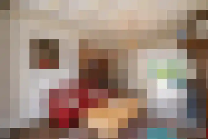 Schoolstraat 4 Berghem thumbnail 9